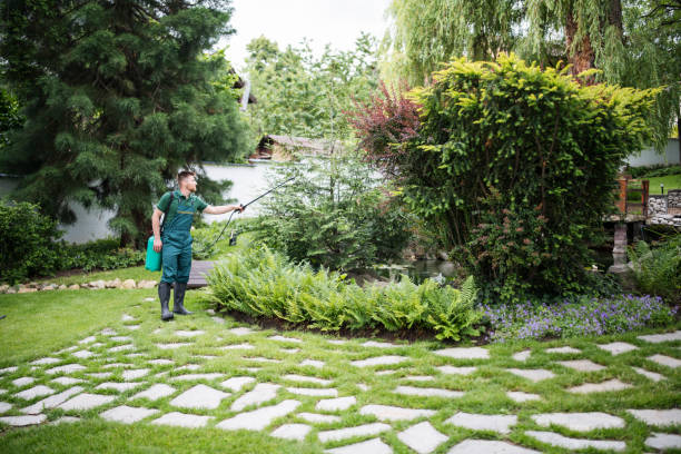 Best Best Pest Control Companies  in Waynesburg, PA