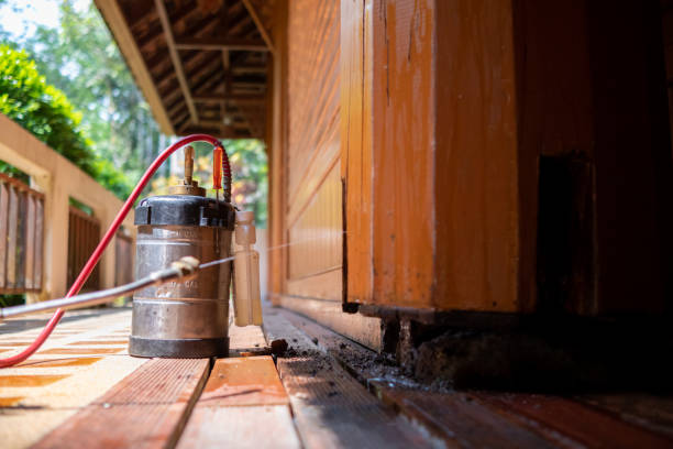 Best Wasp Removal Services  in Waynesburg, PA