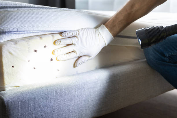Best Exterminator Services  in Waynesburg, PA