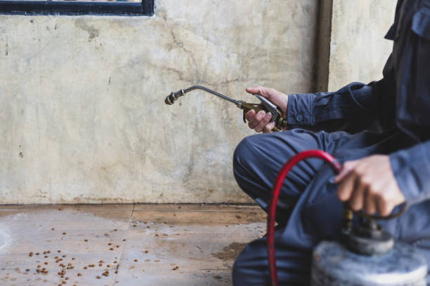 Professional Pest Control in Waynesburg, PA